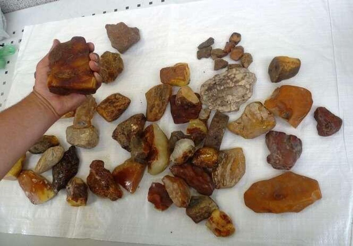 Bursztyny zostały w Zosinie. Przemyt warty 30 tys. zł.