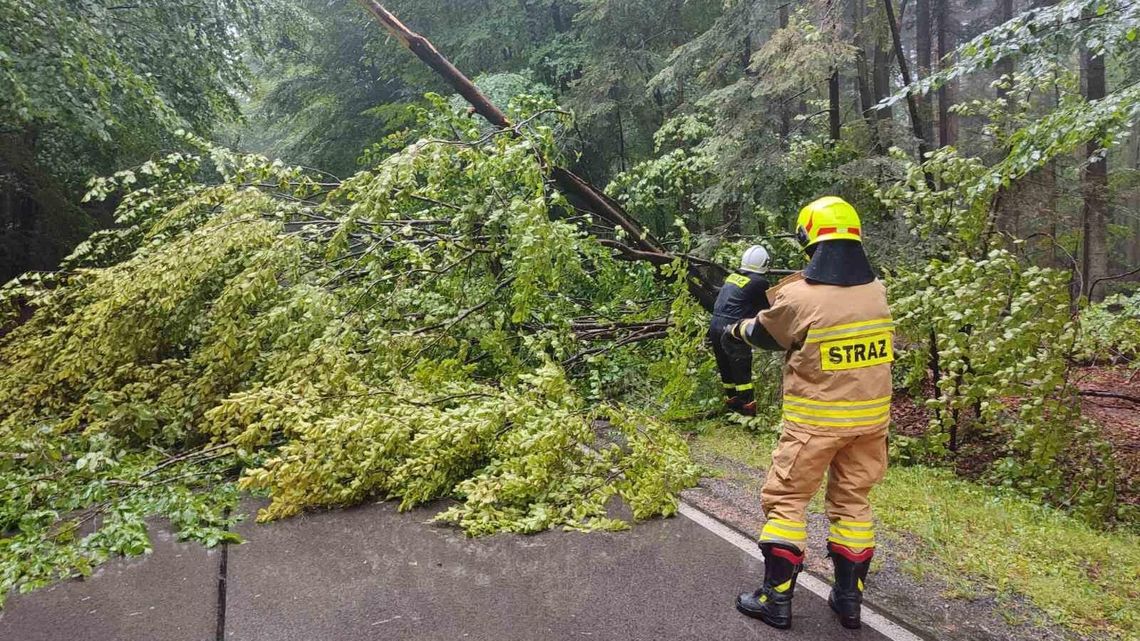Burza przeszła nad powiatem. Strażacy wyjeżdżali kilkanaście razy