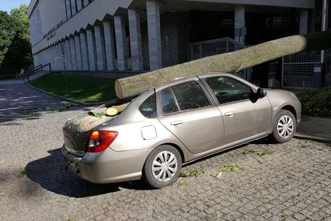 Burza w Lublinie: Połamane drzewa i zalane budynki. 150 zgłoszeń do straży (zdjęcia)