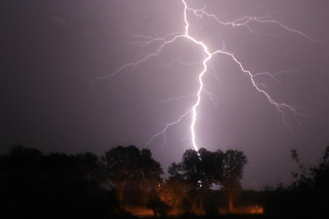 Burze i grad w woj. lubelskim: Złamane drzewa, zalane piwnice (zdjęcia)