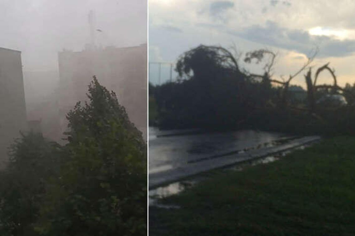 Burze i nawałnice w woj. lubelskim. Uszkodzone dachy, połamane drzewa