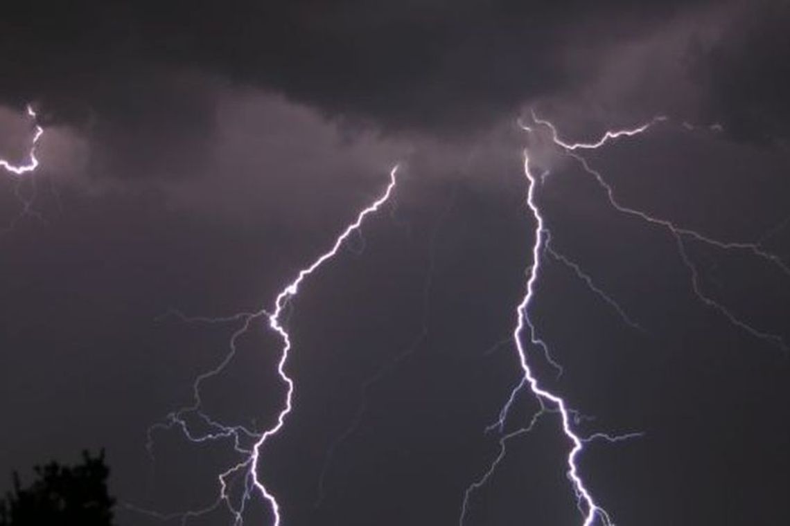 Burze nad województwem. Pożary i powalone drzewa