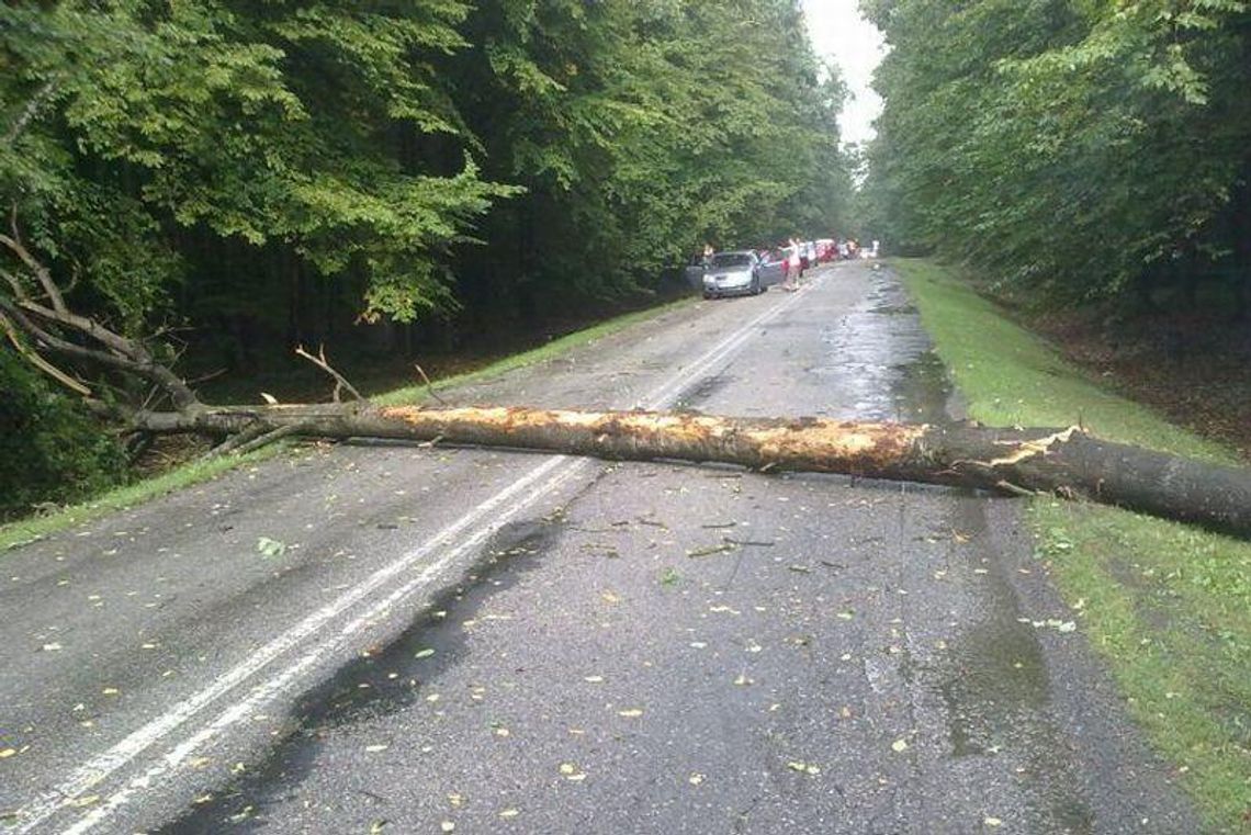 Burze w woj. lubelskim (zdjęcia Czytelników)
