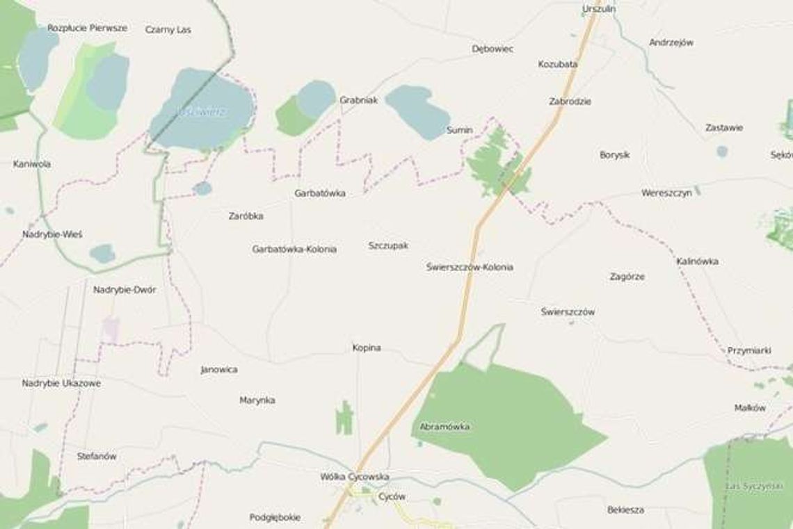 Bus dachował, kierowca był pijany. Chciał ominąć belkę słomy