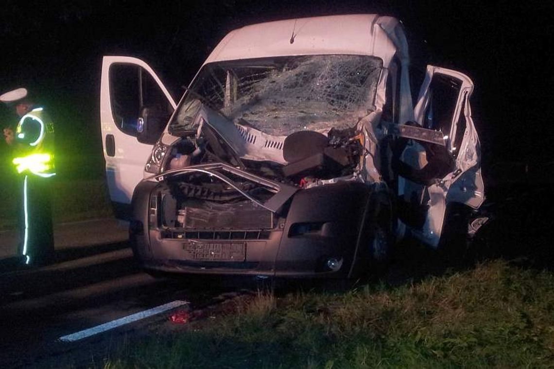 Bus przewożący pracowników zderzył się z łosiem Bus przewożący pracowników zderzył się z łosiem