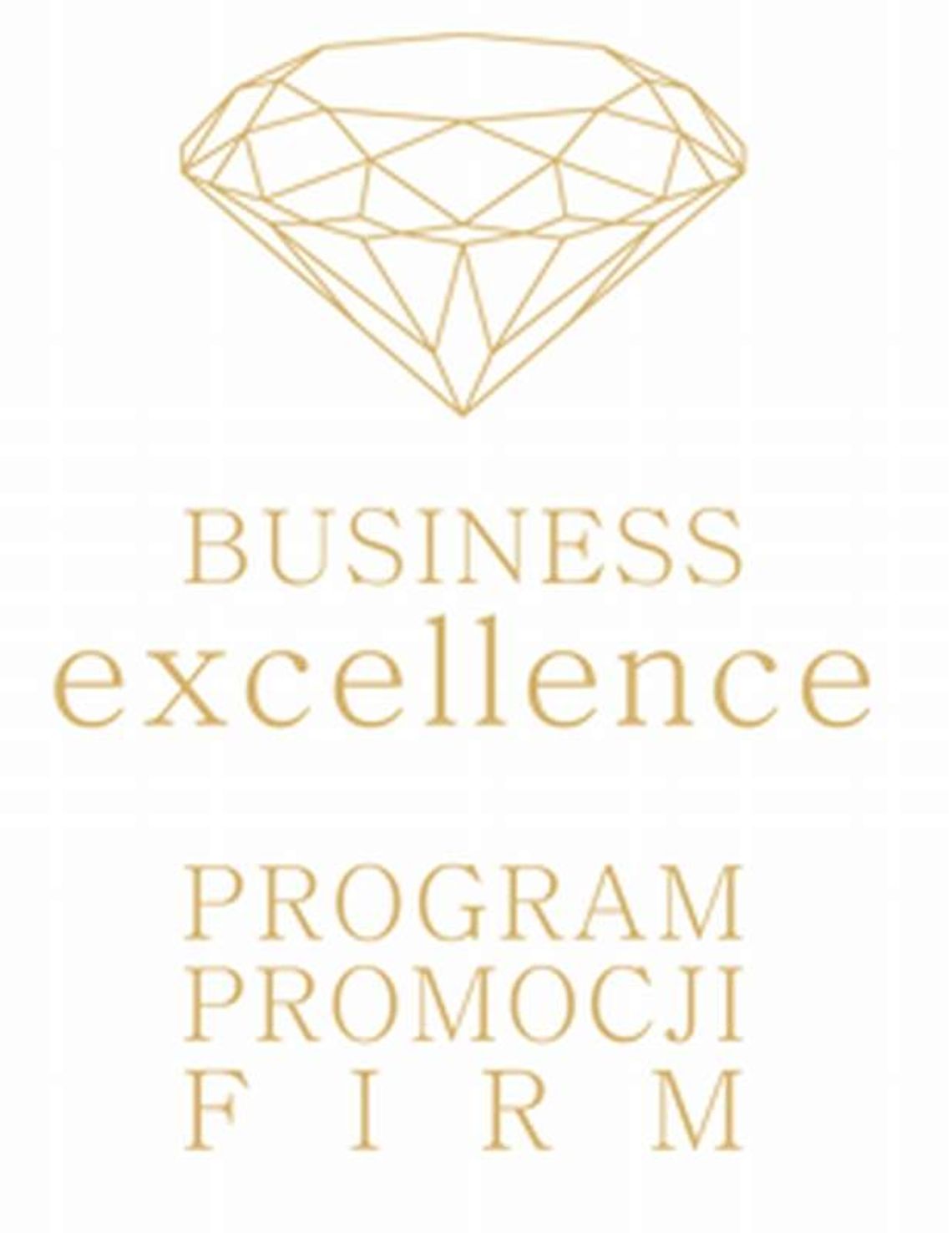 Business Excellence 2014. Zgłoś firmę do nagrody