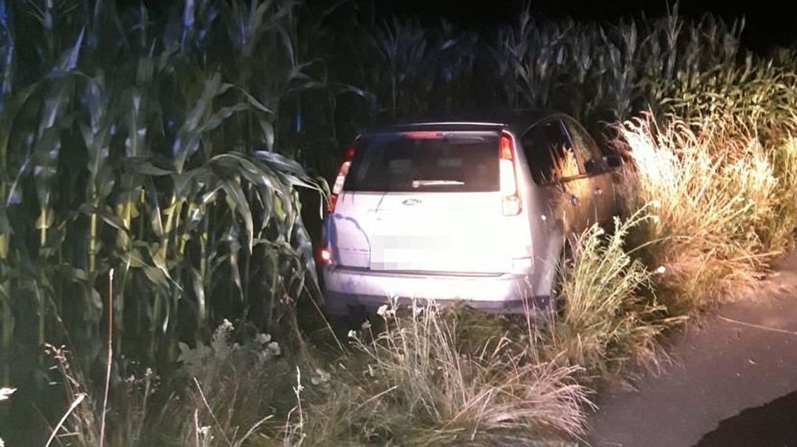 Buszujący w kukurydzy. 19-latek bał się, że jest nietrzeźwy, więc przesiadł się na tylną kanapę