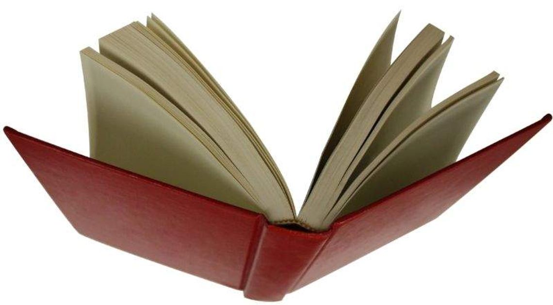 Bychawa: Kiermasz darmowej książki w bibliotece