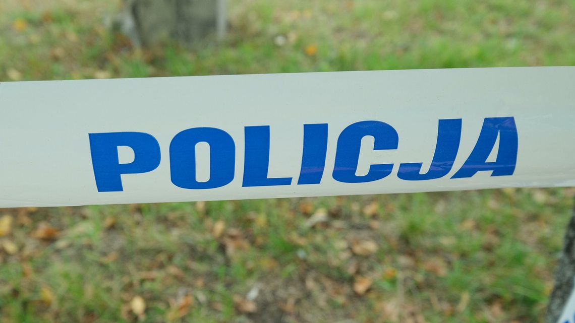 Byk zabił pracownika zakładów mięsnych Byk zabił pracownika zakładów mięsnych