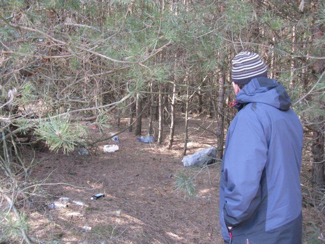 Był las, jest śmietnik: Jakie kary dla brudasów?