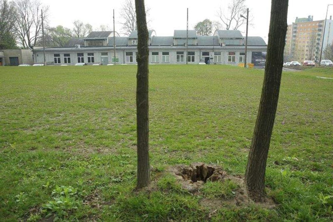 Był parking, jest trawnik, będą grządki. Pod Galerią Labirynt Był parking, jest trawnik, będą grządki. Pod Galerią Labirynt