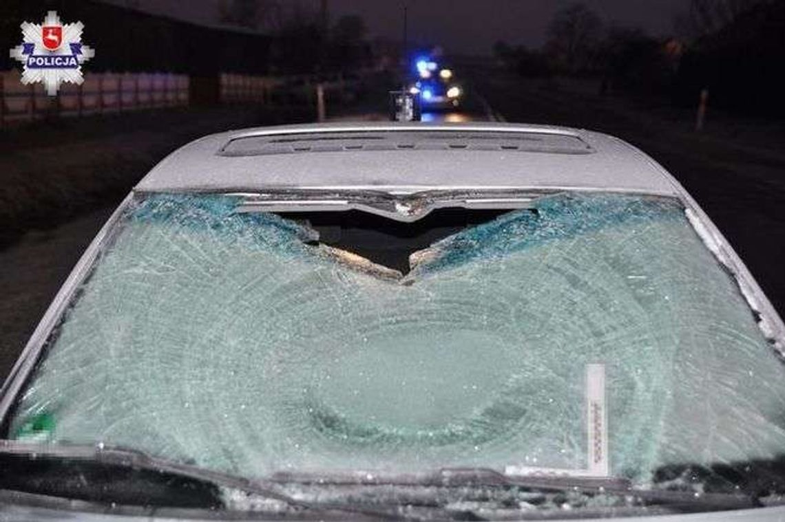 Był pijany, szedł bez kamizelki i złą stroną drogi. Potrąciło go audi