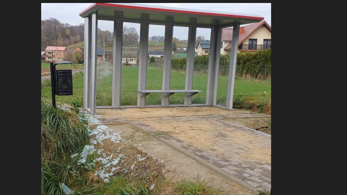 Był zdenerwowany, więc zdemolował przystanek