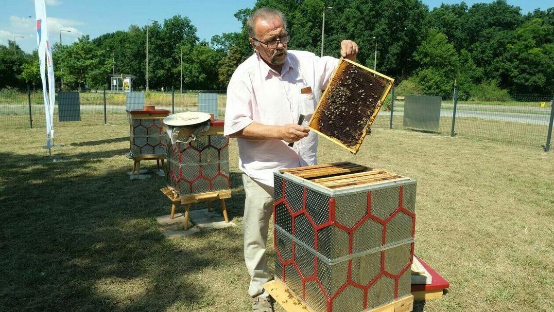 Była pralka, są ule. W Świdniku powstała pasieka z elektrośmieci Była pralka, są ule. W Świdniku powstała pasieka z elektrośmieci