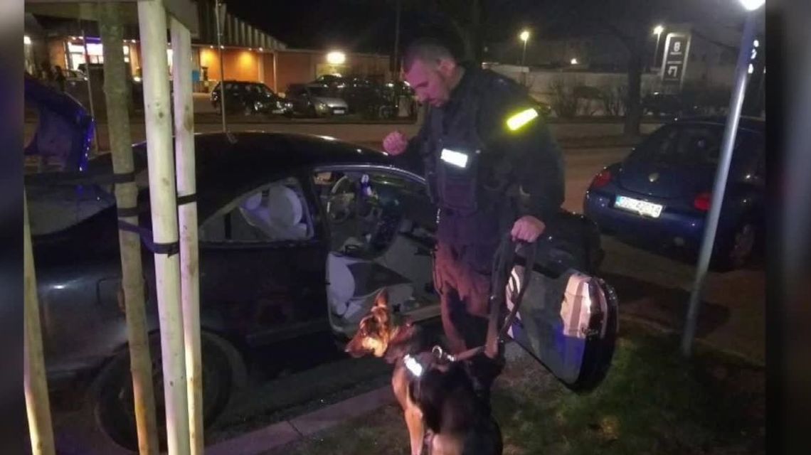 Byli pod wpływem narkotyków i uciekali przed policją. W aucie były kilkumiesięczne dzieci Byli pod wpływem narkotyków i uciekali przed policją. W aucie były kilkumiesięczne dzieci