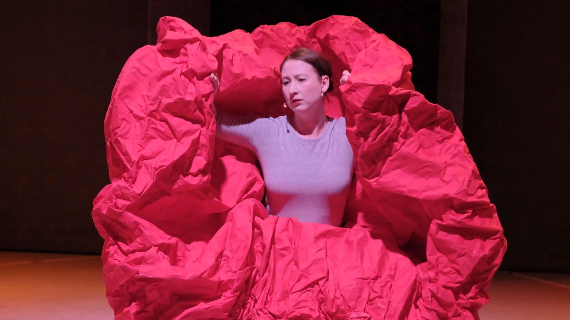 Byliśmy w Tajemniczym Ogrodzie. Zdjęcia z nowego spektaklu w teatrze Andersena Byliśmy w Tajemniczym Ogrodzie. Zdjęcia z nowego spektaklu w teatrze Andersena