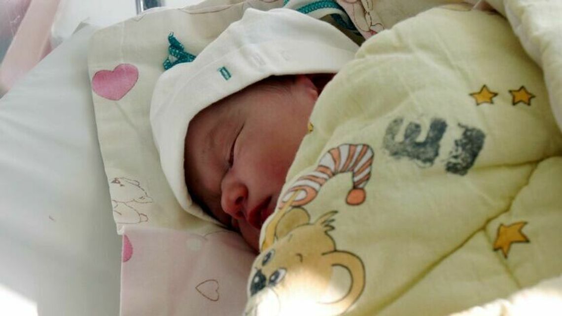 Było 500, PiS dodaje 300, będzie 800 plus na dziecko. A rodzi się ich coraz mniej