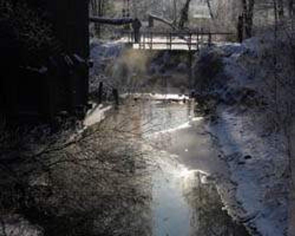 Bystrzyca w Kiełczewicach (nr 40) - 4 głosy