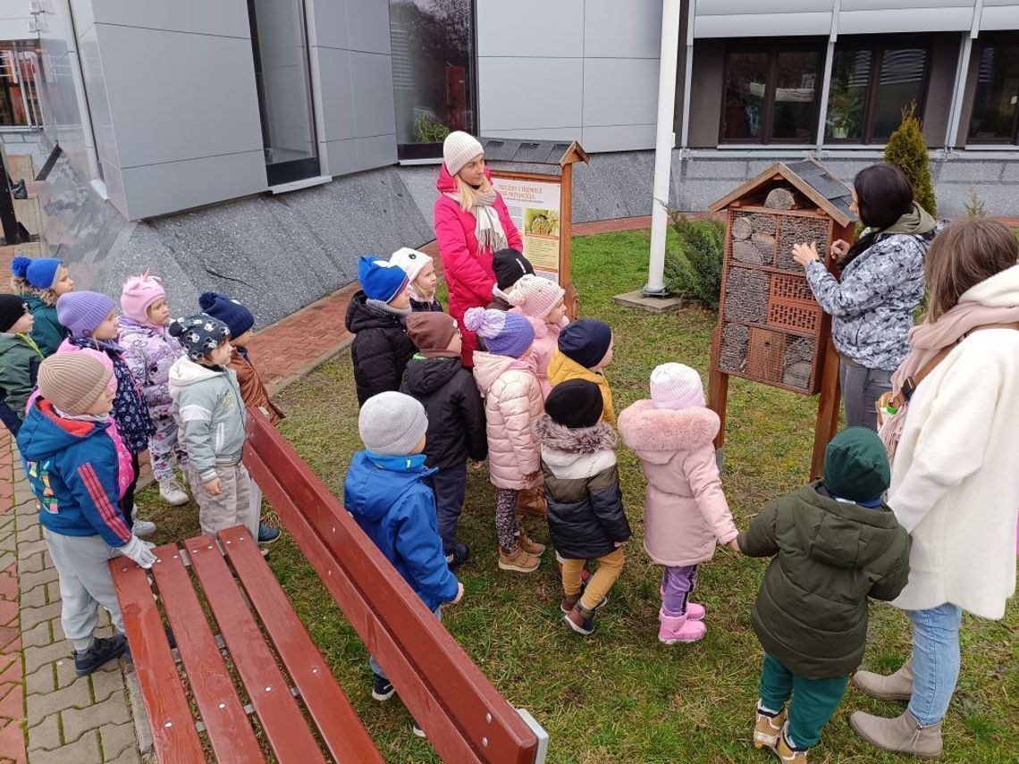 Bzyk, bzyk – pszczoły mają swój raj w Cementowni Chełm Odnowiona łąka kwietna w Cementowni Chełm zapewnia owadom dostęp do pyłku i nektaru, a dzieci z lokalnych szkół uczą się, jak chronić zapylacze w swojej okolicy.