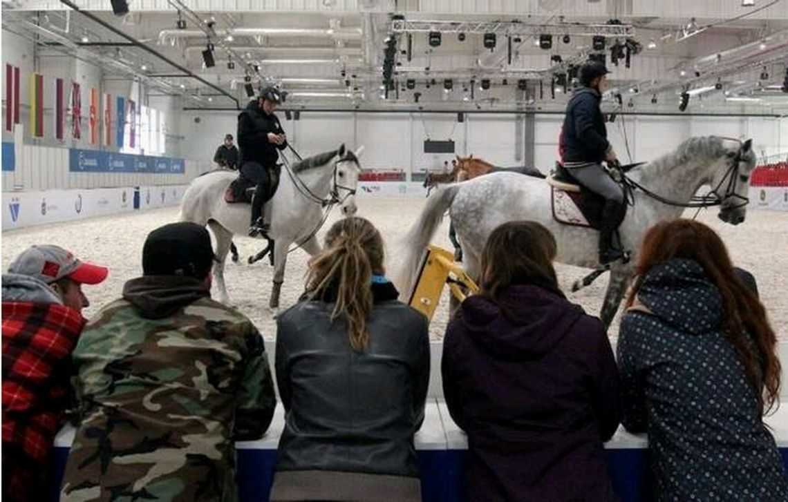 Cavaliada 2013, czyli święto jeździectwa w Lublinie (zdjęcia)