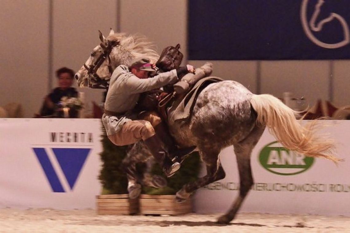 Cavaliada 2013 po raz pierwszy w Lublinie (zdjęcia, relacja) Cavaliada 2013 po raz pierwszy w Lublinie (zdjęcia, relacja)