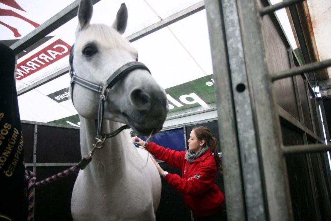 Cavaliada 2014 od dziś do niedzieli w Lublinie (zdjęcia)