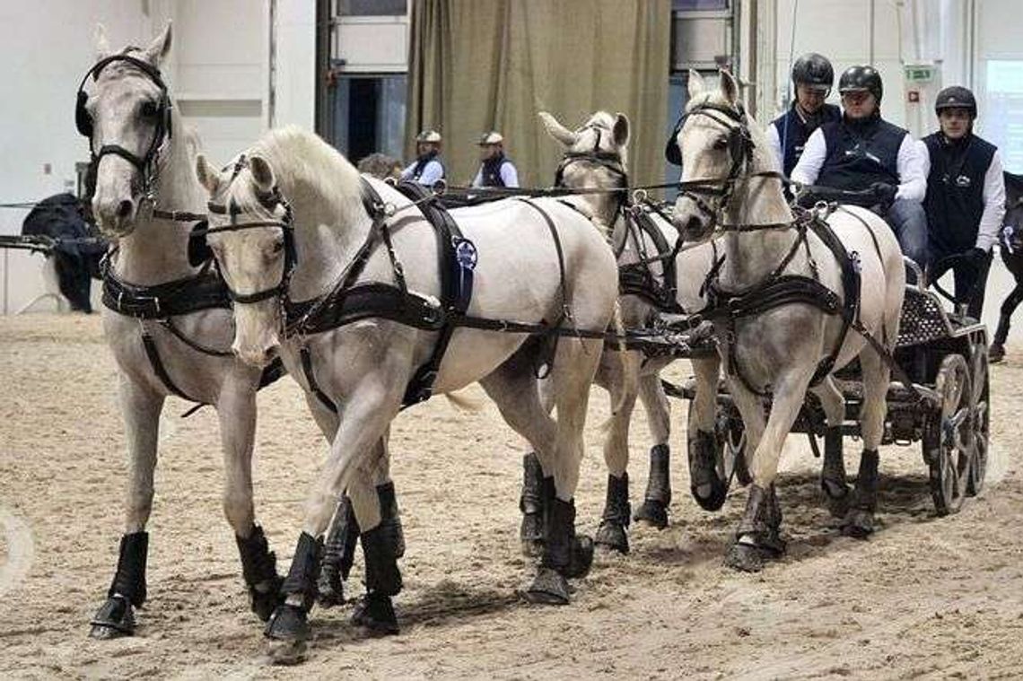 CAVALIADA 2018 w Lublinie. Zawody w Powożeniu Zaprzęgami Czterokonnymi CAVALIADA 2018 w Lublinie. Zawody w Powożeniu Zaprzęgami Czterokonnymi