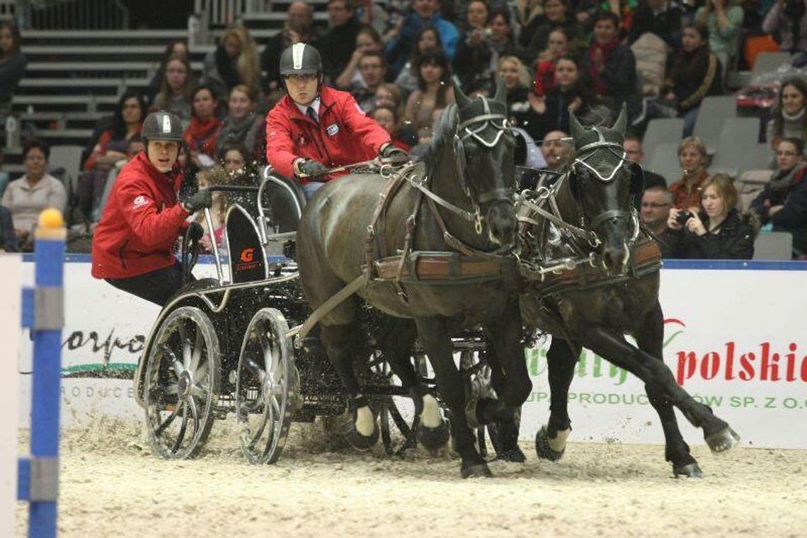 Cavaliada po raz pierwszy w Lublinie. Poskaczą i pościgają się zaprzęgami