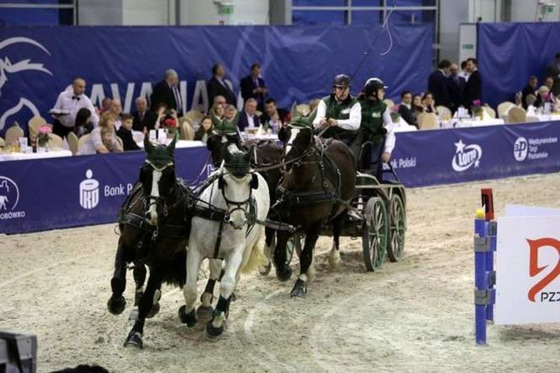 Cavaliada w Lublinie: Pełne trybuny i emocjonująca rywalizacja zaprzęgów Cavaliada w Lublinie: Pełne trybuny i emocjonująca rywalizacja zaprzęgów