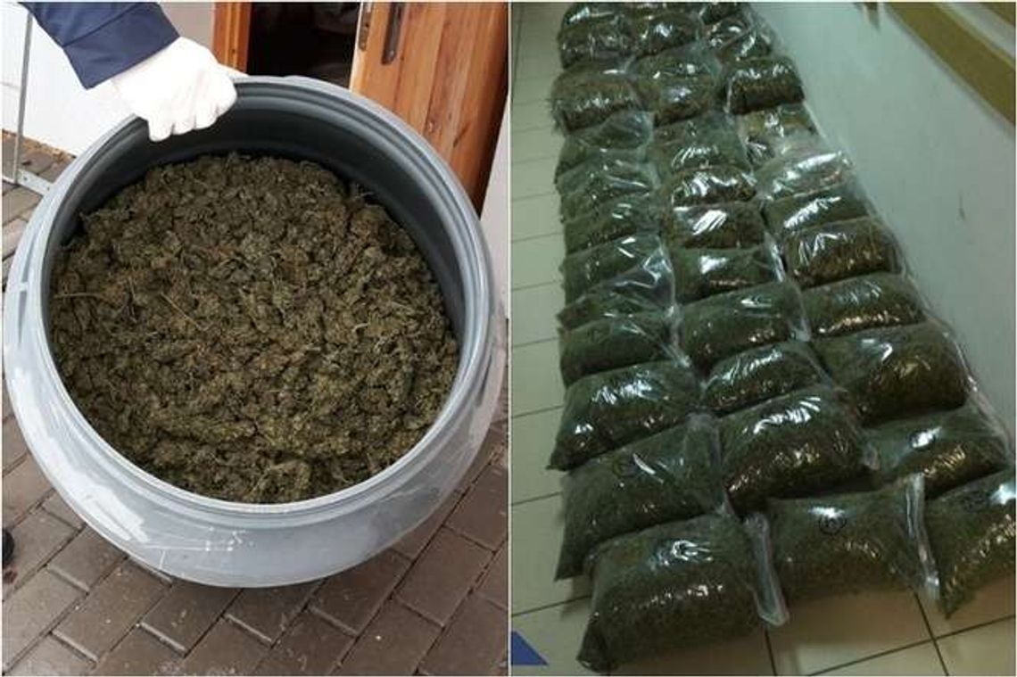CBŚP: Pierwsza w Polsce profesjonalna fabryka haszyszu. Mieli też 42 kg marihuany