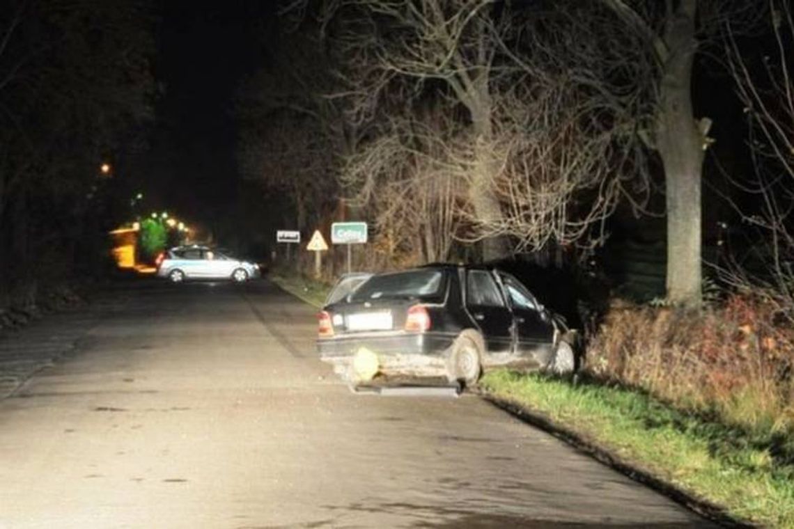 Celiny. Nissan uderzył w drzewo, kierowca nie żyje