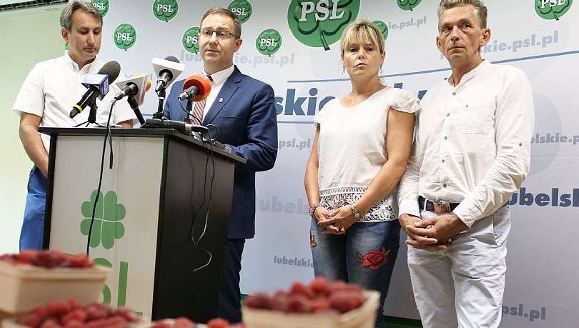Cena malin na skupie poniżej kosztów produkcji. Rolnicy rozkładają ręce Cena malin na skupie poniżej kosztów produkcji. Rolnicy rozkładają ręce