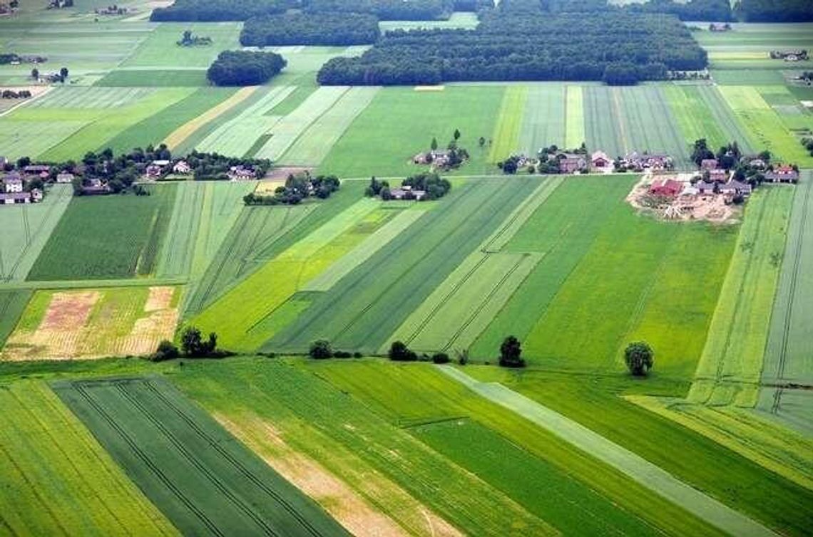 Ceny gruntów rolnych rosną. Przez dekadę o 426 proc. w Lubelskiem