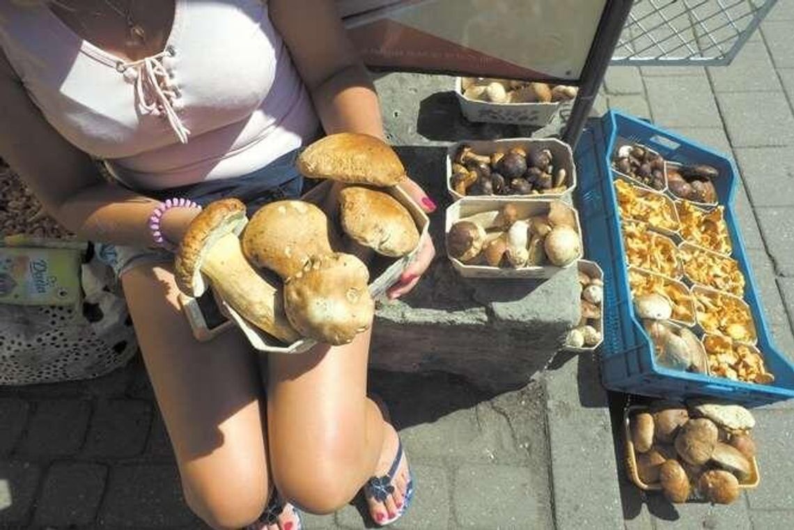 Ceny grzybów w Lublinie. Nie jest tanio