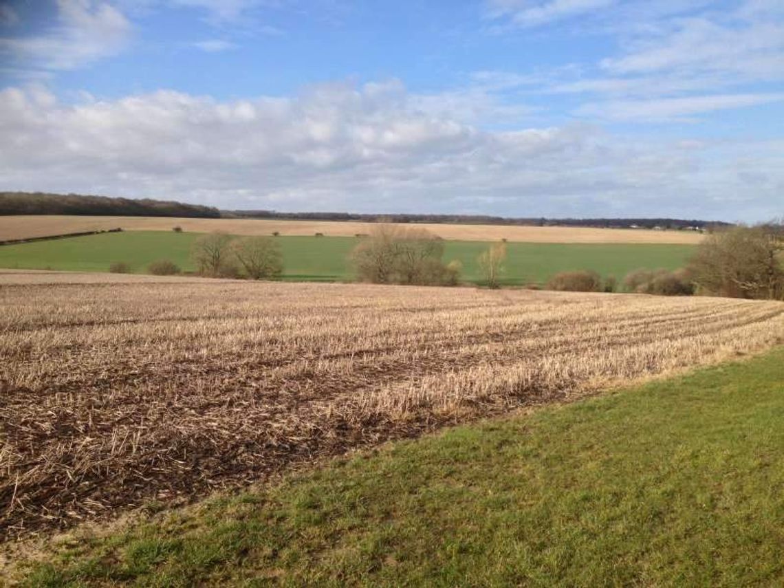 Ceny ziemi w woj. lubelskim idą w górę. Hektar za ok. 16,5 tys. zł