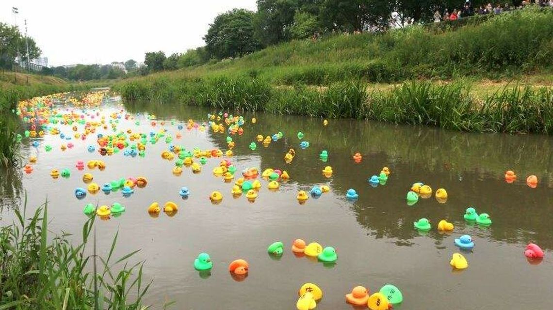 Charytatywnie w Chełmie. Wyścig kaczek i bieg w piżamach