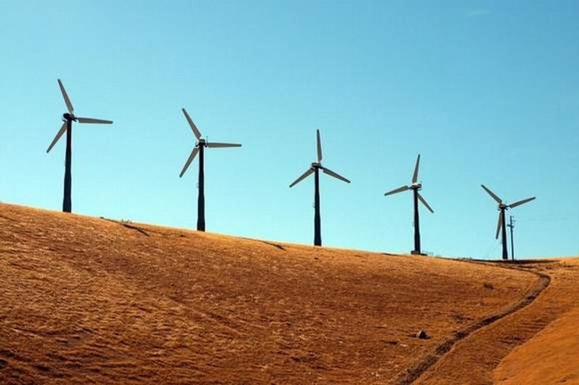 Chcą budować farmy wiatrowe: To czysta energia i czysty zysk