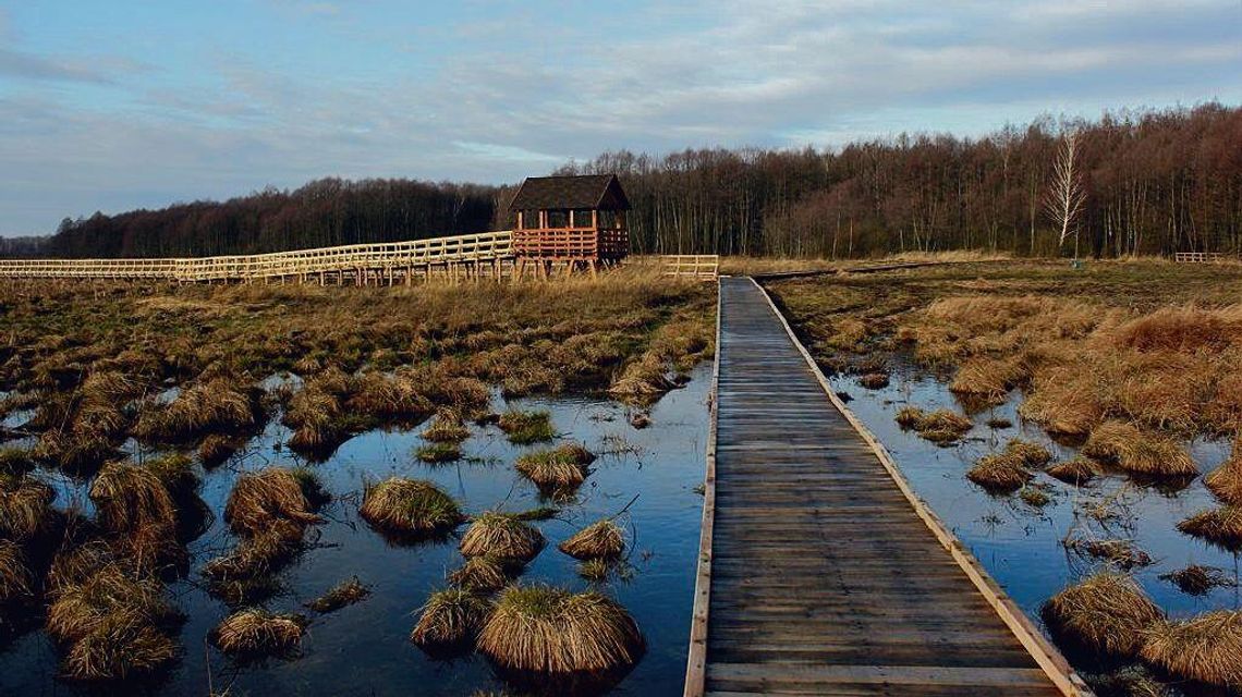Chcą budować kopalnię obok Poleskiego Parku Narodowego. Bagna zostaną zniszczone?