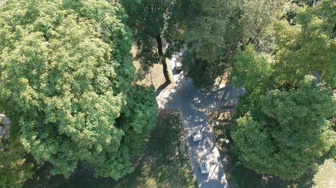 Chcą mieć ładniej za 24 mln zł. Zielony Budżet Obywatelski w Lublinie [lista projektów]