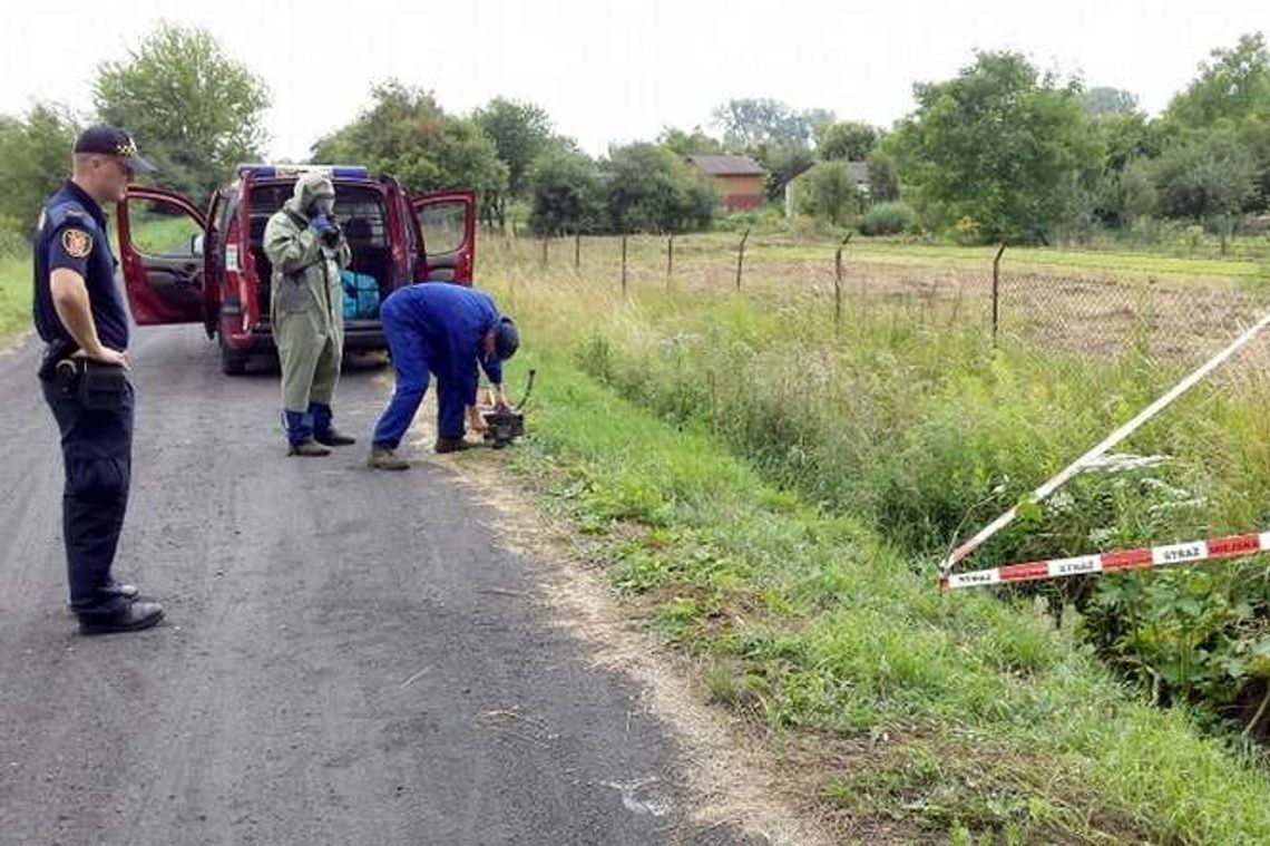 Chcą stworzyć mapę występowania barszczu Sosnowskiego