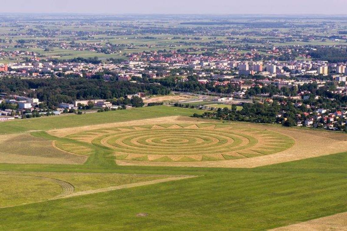 Chcą wykosić landart Koziary przy lotnisku. Przez susły perełkowane
