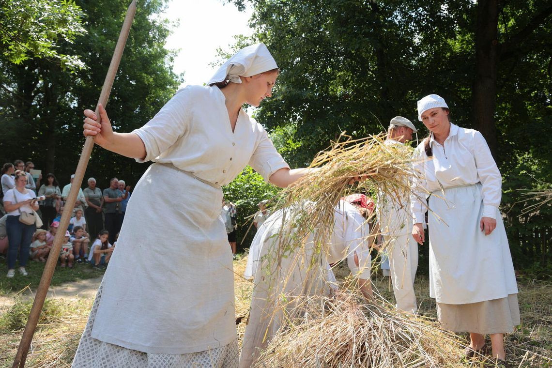 Chcesz działać w skansenie? Muzeum Wsi Lubelskiej szuka wolontariuszy