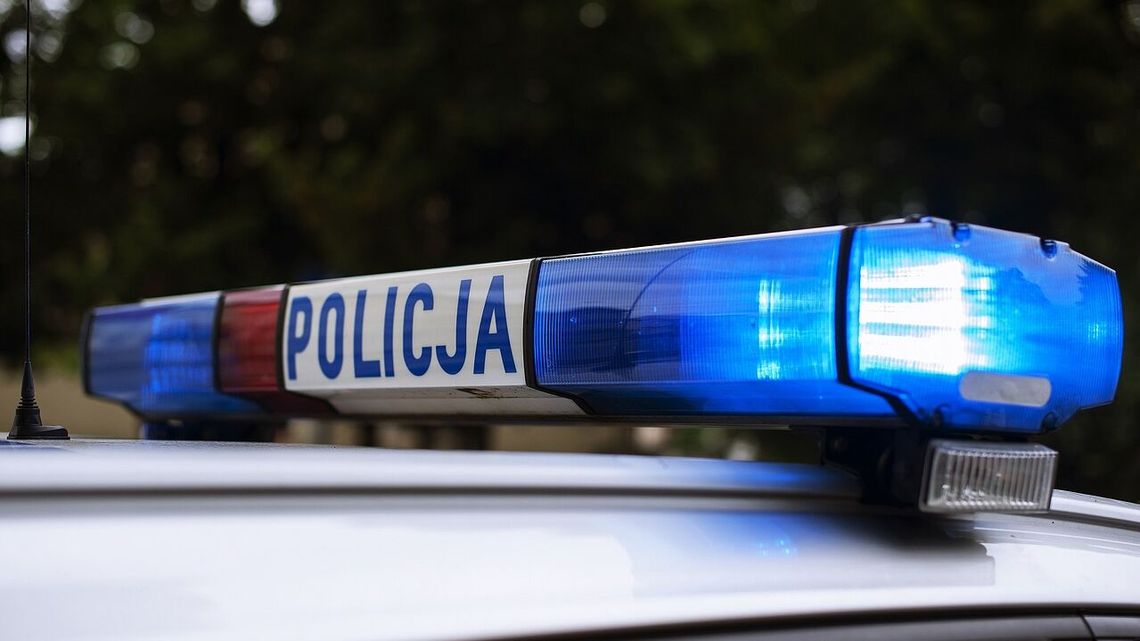 Chciał kupić kontener morski. Okazało się że to oszustwo