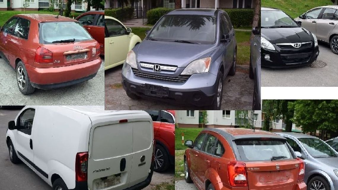 Chciał nakręcić filmik. Teraz odpowie za kradzież 19 tablic rejestracyjnych