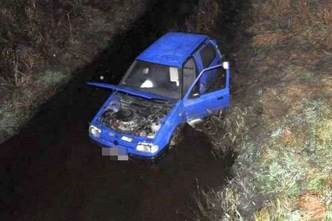 Chciał ominąć sarnę, wpadł samochodem do rzeki Chciał ominąć sarnę, wpadł samochodem do rzeki