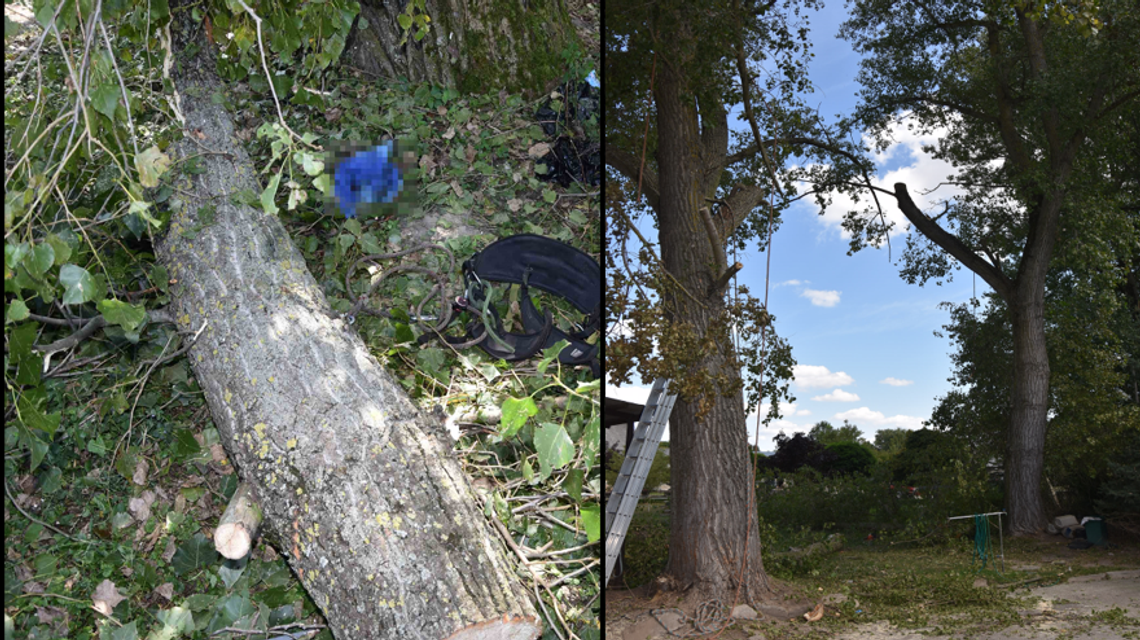 Chciał przyciąć gałęzie. Mężczyzna spadł z ponad 8 metrów