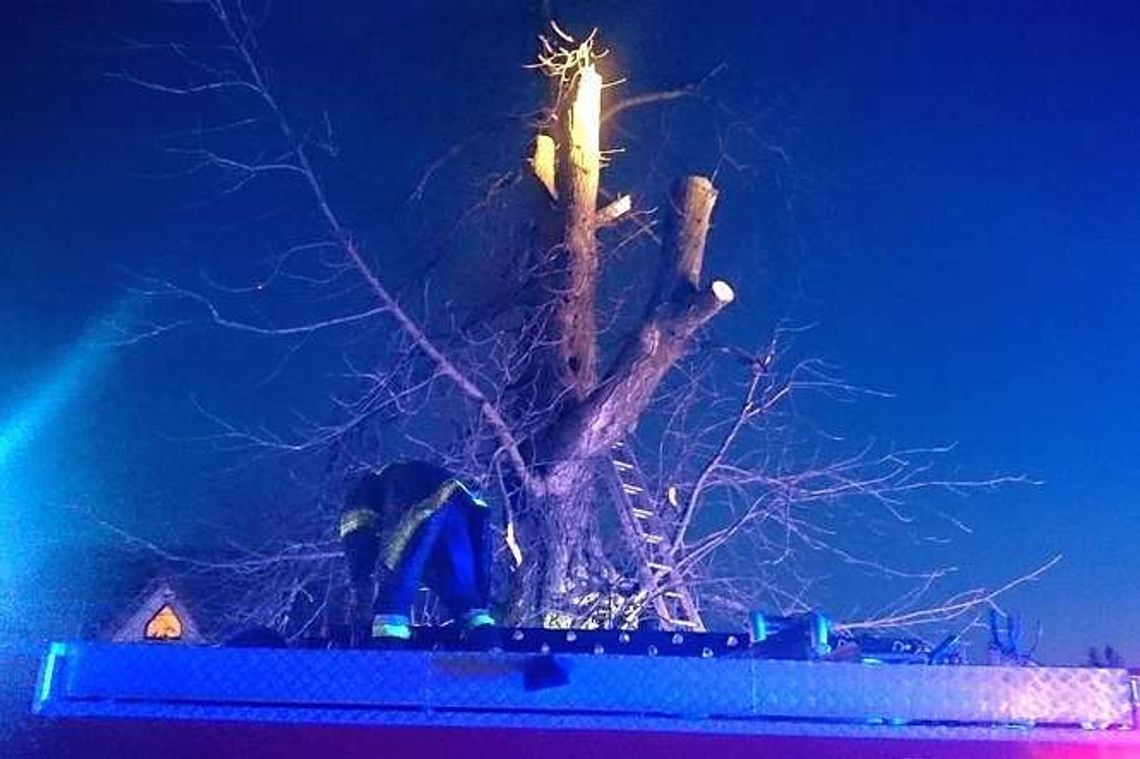 Chciał ściąć drzewo. Tragiczna śmierć w gm. Markuszów