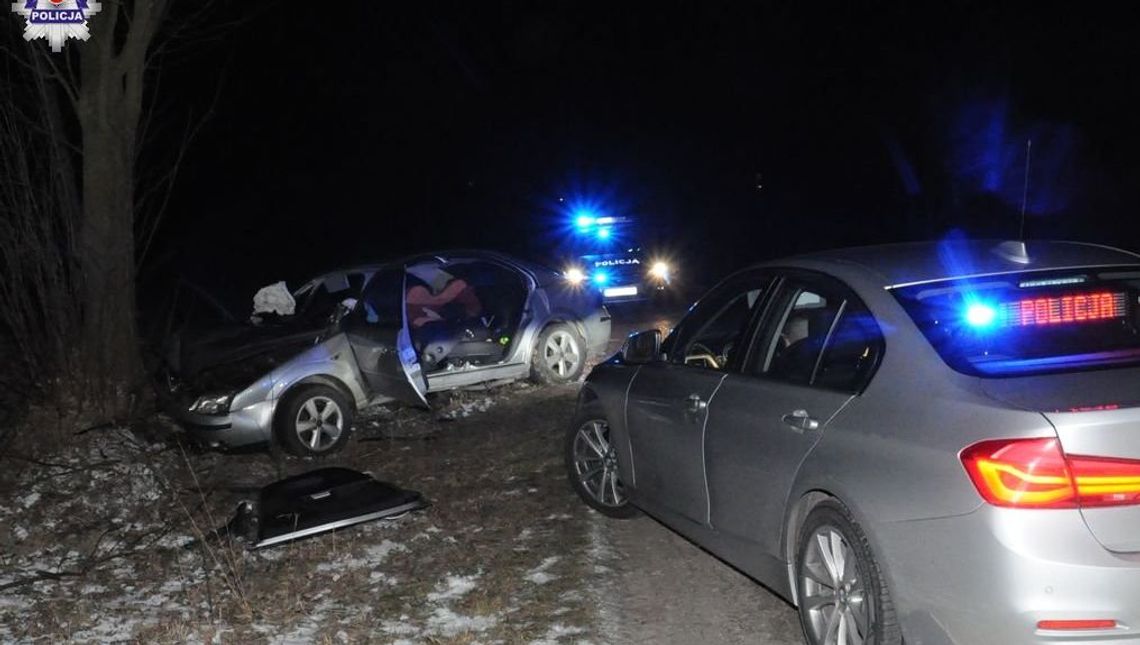 Chciała uniknąć zderzenia z sarną, wjechała w drzewo