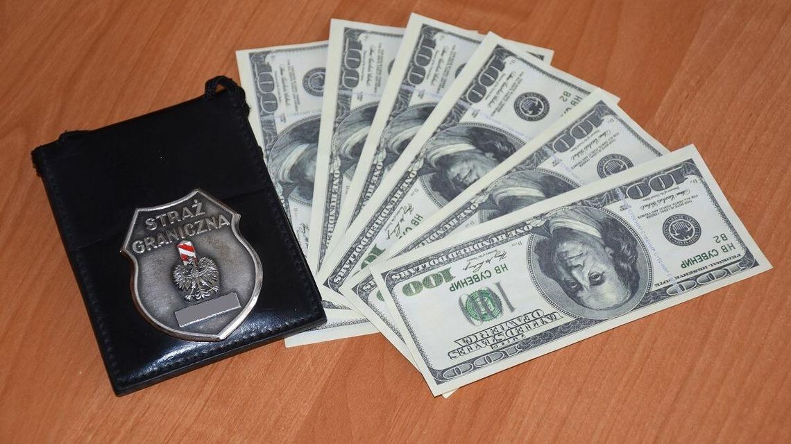 Chciała wjechać do Polski. Pokazała fałszywe dolary na granicy