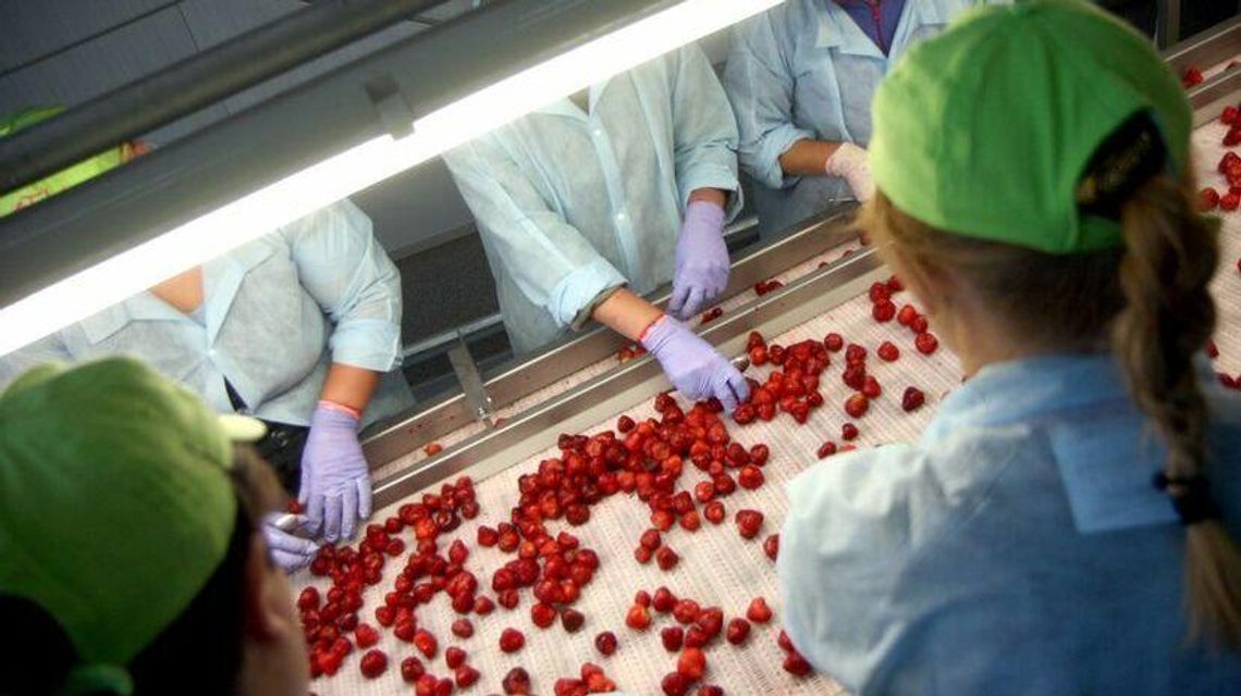 Chcieli pomocy finansowej, a staną przed sądem. Mieli wprowadzić w błąd agencję rządową